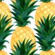 Tkanina 20830 | watercolor Pineapples0