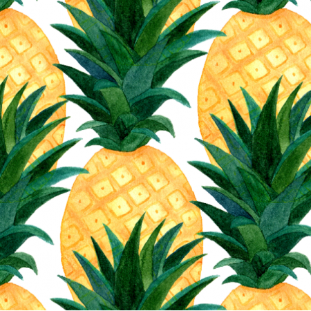 20830 | watercolor Pineapples0