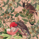 Tkanina 20831 | Papugi na Różowym tle