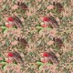 Tkanina 20831 | Papugi na Różowym tle