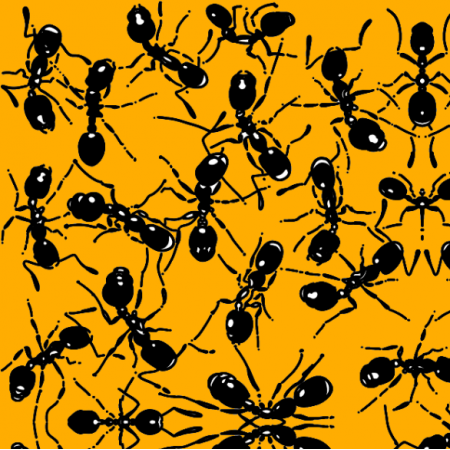 Fabric 21190 | Mrówki na żółtym tle