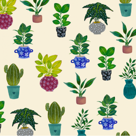 Fabric 21232 | Plant Potted SuCculents