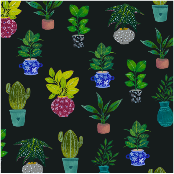 Fabric 21234 | Black plant potted succulents