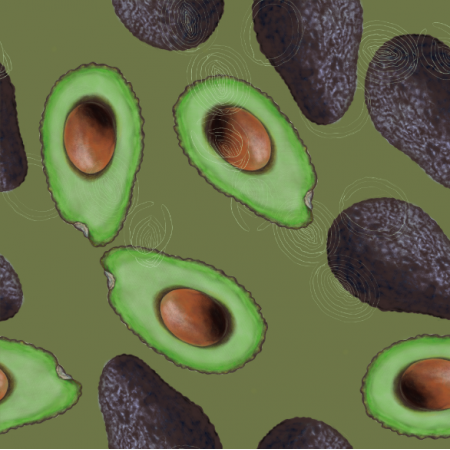 21804 | Avocado on green