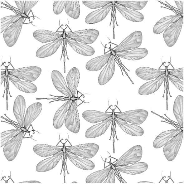 Fabric 21905 | Dragonfly on white