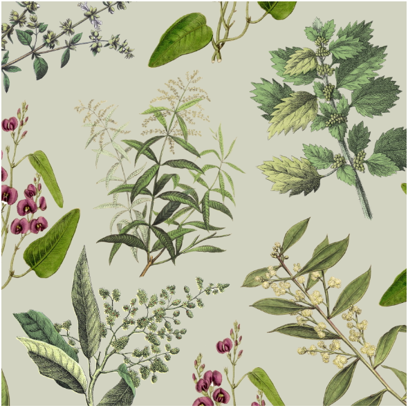 Tkanina 22467 | SZAŁWIOWY OGRÓDEK - SAGE GREEN GARDEN 