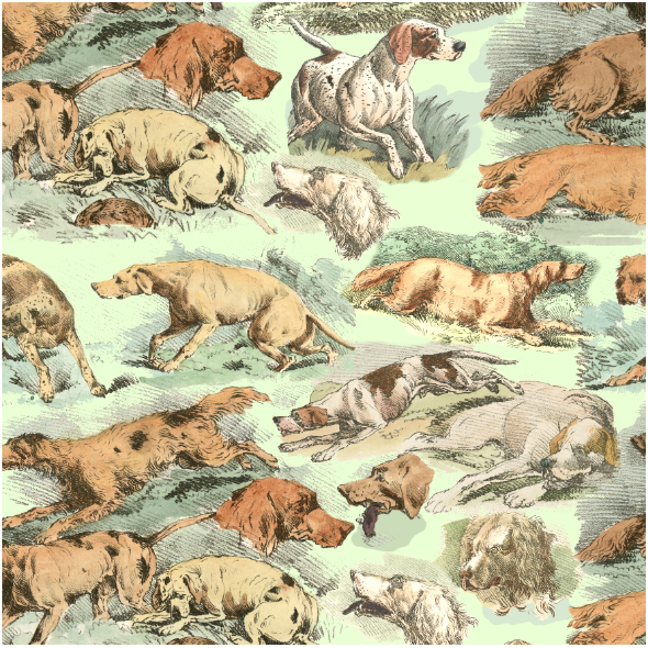Fabric 22563 | ZWARIOWANE PSY SETERY I POINERY 