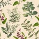 Fabric 22651 | Ziołowy Ogródek - KREMOWE TŁO