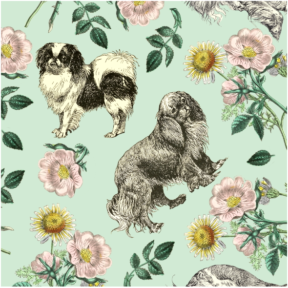 Fabric 22661 | PSY CAVALIER KING CHARLES SPANIEL W RÓŻANYM OGRODZIE 