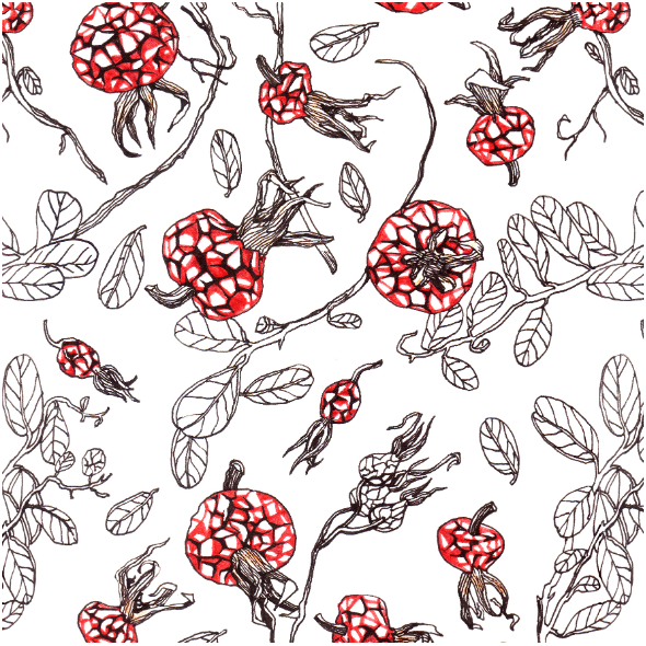Fabric 22792 | Red Rosehip