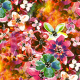 Fabric 22968 | Wielobarwny wzór kwiatowy