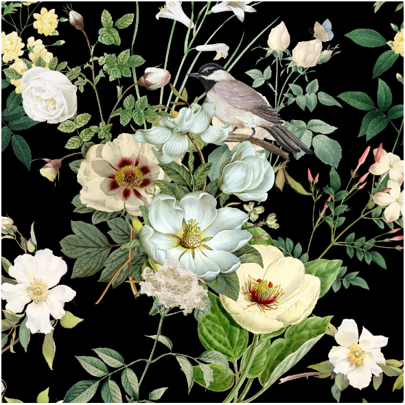 Tkanina 23002 | białe kwiaty z ptaszkiem na czarnym tle