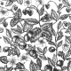 Fabric 23016 | Graphic Berries White