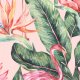 Tkanina 23570 | Flamingo1