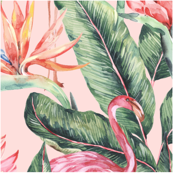 Fabric 23570 | Flamingo1
