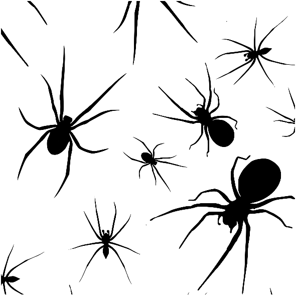 Tkanina 23662 | Spiders xl