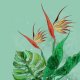 Tkanina 23682 | monstera i strelicja0