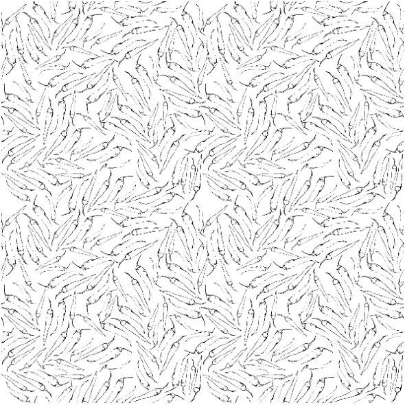 Fabric 23851 | chili b&w