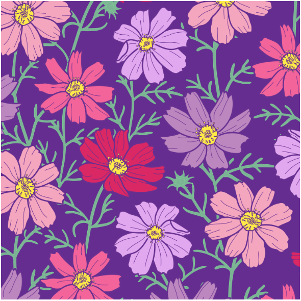 Tkanina 24067 | Kwiaty kosmos różowe i fioletowe na ciemno-fioletowym tle