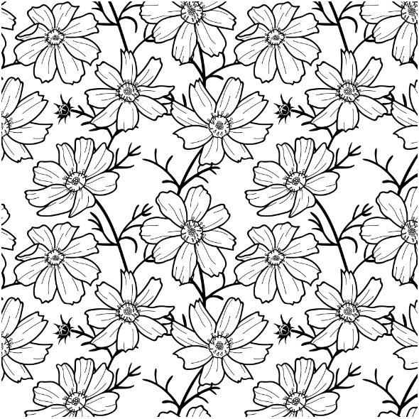 Fabric 24367 | CZARNE Kwiaty kosmos na białym tle