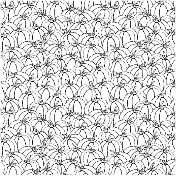 Fabric 24374 | dynia b-w