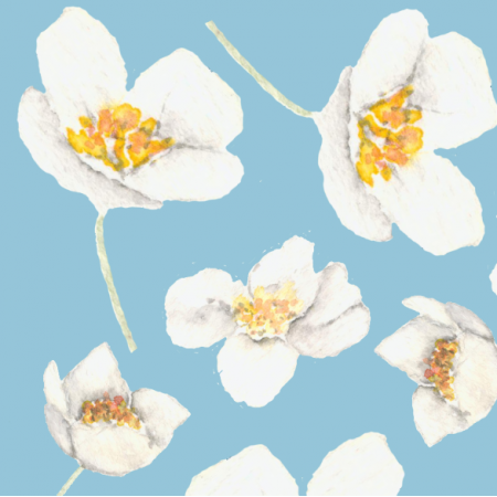 Fabric 24497 | kwiat maliny