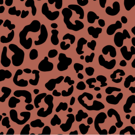 24527 | Leopardo m