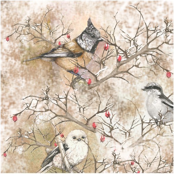 Fabric 24539 | zimowe ptaki