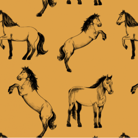 Fabric 24584 | Cavallo