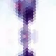Fabric 24718 | GRAPES