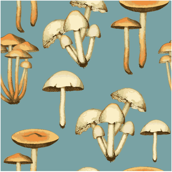 Tkanina 24772 | Retro mushrooms
