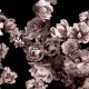 Fabric 24887 | Flowers Web0