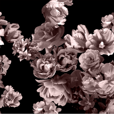 Tkanina 24887 | Flowers Web