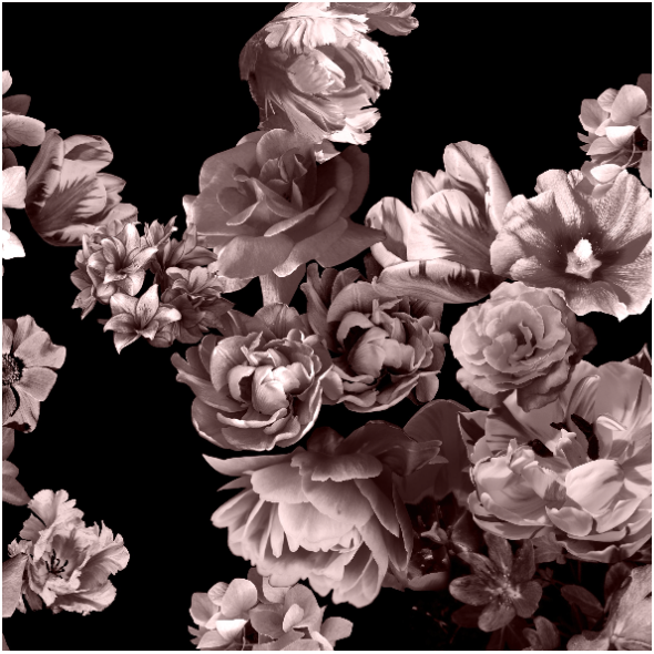 Fabric 24887 | Flowers Web0