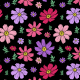 Fabric 25224 | Różowe i filetowe Kwiaty kosmos z liśćmi na czarnym tle. kwiatowy wzór bezszwowy