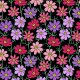 Fabric 25232 | KWIATOWY WZÓR, Różowe i filetowe Kwiaty kosmos na czarnym tle. kwiatowy wzór bezszwowy0