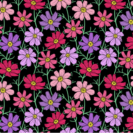 25232 | Różowe i filetowe Kwiaty kosmos na czarnym tle. kwiatowy wzór bezszwowy