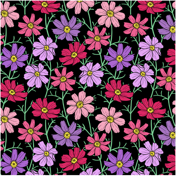 Tkanina 25232 | Różowe i filetowe Kwiaty kosmos na czarnym tle. kwiatowy wzór bezszwowy