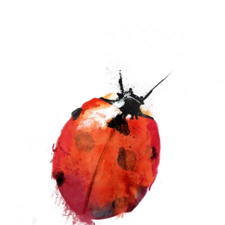 Tkanina 449 | ladybird