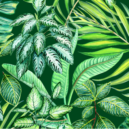 26330 | akwarelowe liście tropikalne