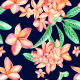 Fabric 26336 | pomarańczowe kwiaty olarium