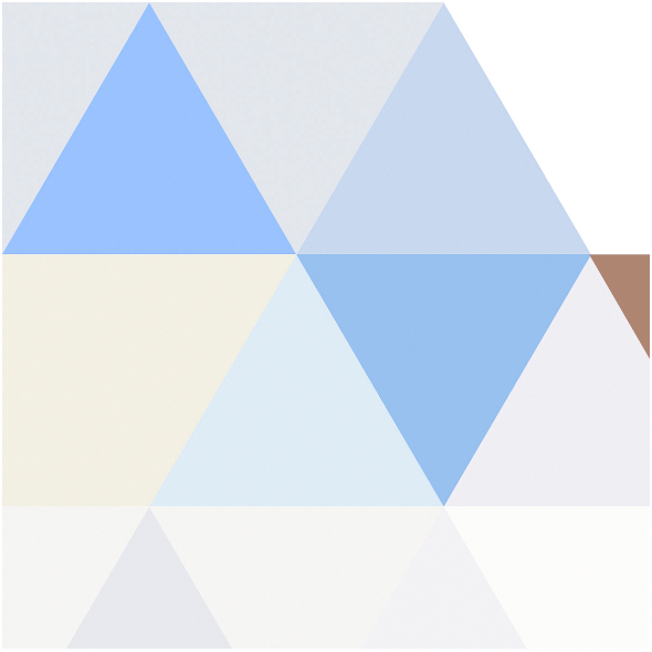 Fabric 2794 | TRI 1 - SINGLE BROWN