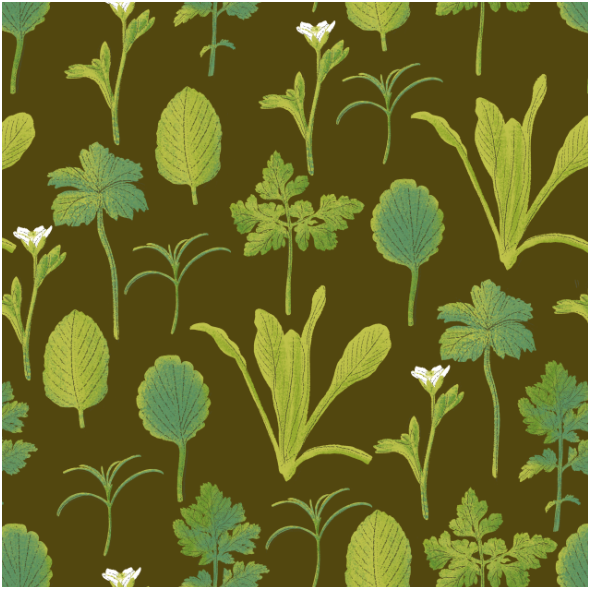 Fabric 26752 | herbs