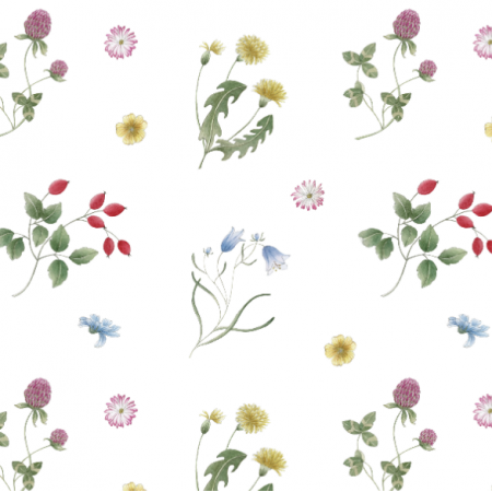 Fabric 27379 | Kwiaty polne