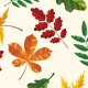 Fabric 27813 | JESIEN 4