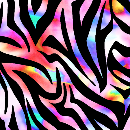28234 | Zebra Colorful 2