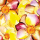 Fabric 28460 | Mnóstwo kwiatów i kolor słoneczny