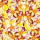 Tkanina 28460 | Mnóstwo kwiatów i kolor słoneczny