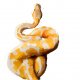 Tkanina 472 | snake