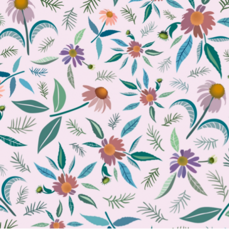28789 | Beautiful echinacea, coneflower field, scattered, herbal medicine concept pastel hues